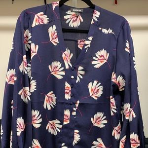 Express V Neck Blouse